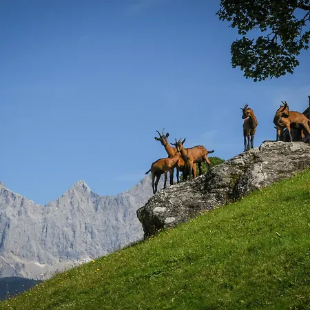 Farmház Strickhof Schladming