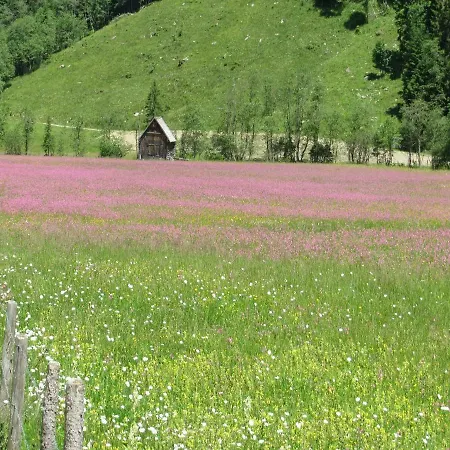 Farm stay Strickhof