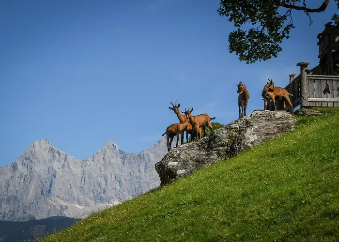 Farmház Strickhof Schladming